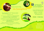  Waldwichtel
